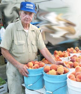 Crow Mountain Orchard