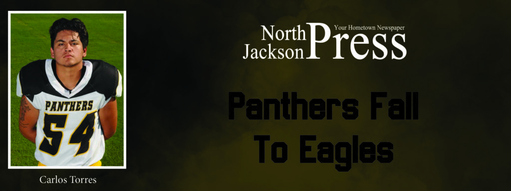 Panthers Fall To Eagles