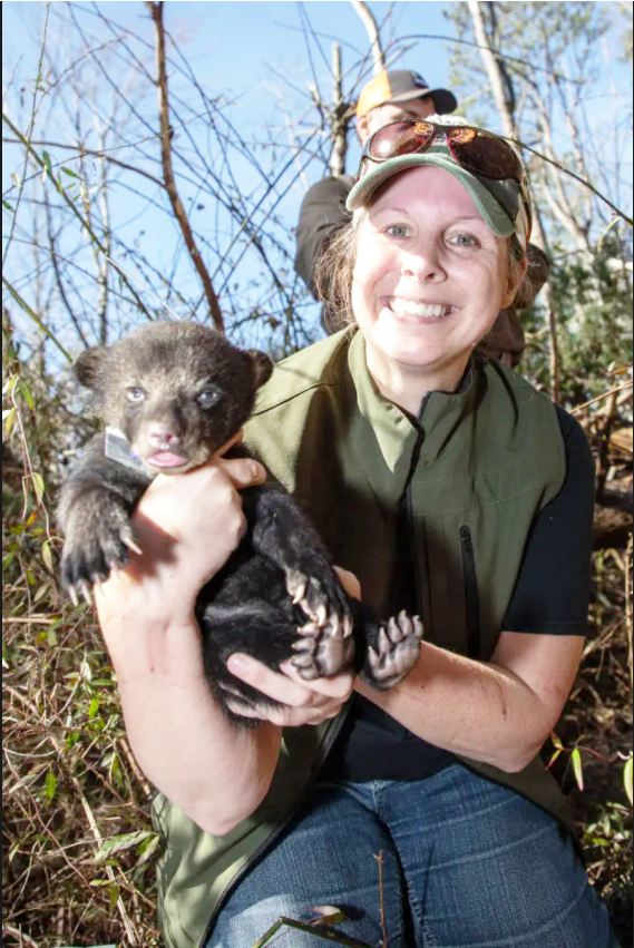 Bear Cubs Discovered In DeKalb County