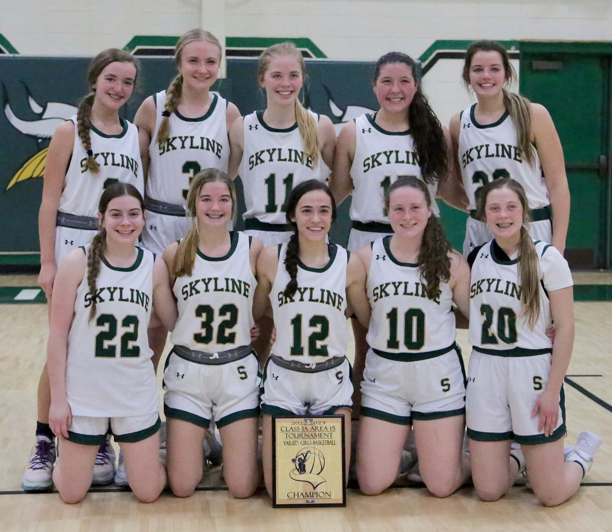 Lady Vikings Claim Area 15 Title