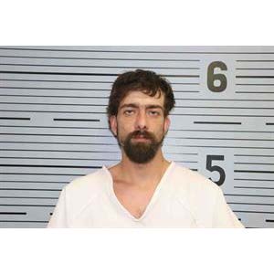 Stevenson man sentenced to 35 years